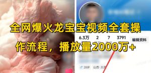 全网爆火龙宝宝视频全套操作流程，播放量2000万+-阳知网创资源库