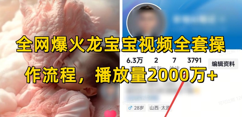 全网爆火龙宝宝视频全套操作流程，播放量2000万+-阳知网创资源库