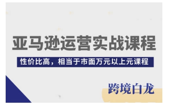 亚马逊运营实战课程,亚马逊从入门到精通,性价比高,相当于市面万元以上元课程-阳知网创资源库