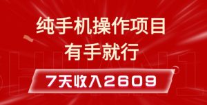 纯手机操作的小项目,有手就能做,7天收入2609+实操教程【揭秘】-阳知网创资源库
