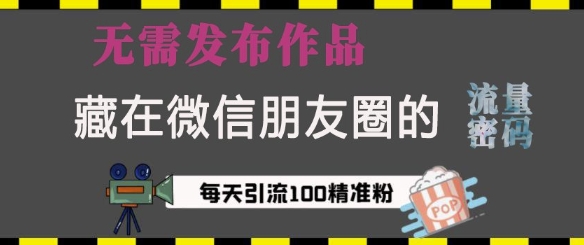 藏在微信朋友圈的流量密码,无需发布作品,单日引流100+精准创业粉【揭秘】-阳知网创资源库