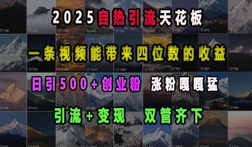 2025自热引流天花板,一条视频能带来四位数的收益,引流+变现双管齐下,日引500+创业粉,涨粉嘎嘎猛-阳知网创资源库