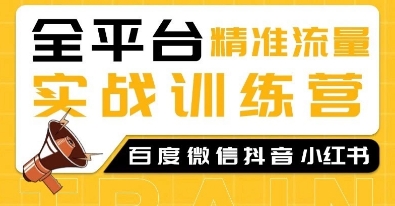 全平台精准流量实战训练营,百度微信抖音小红书SEO引流教程-阳知网创资源库