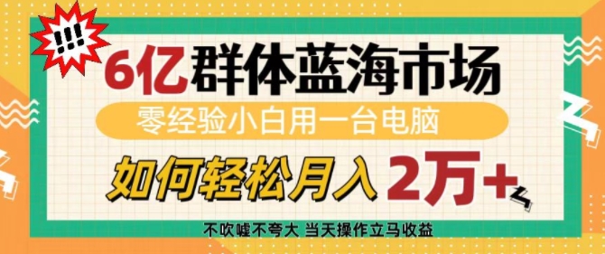 6亿群体蓝海市场,零经验小白用一台电脑,如何轻松月入过w【揭秘】-阳知网创资源库