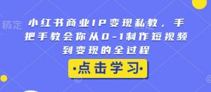 小红书商业IP变现私教,手把手教会你从0-1制作短视频到变现的全过程-阳知网创资源库