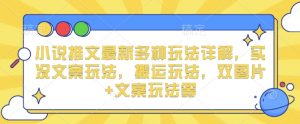 小说推文最新多种玩法详解，实况文案玩法，搬运玩法，双图片+文案玩法等-阳知网创资源库