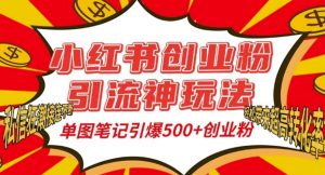 小红书创业粉引流神玩法,单图笔记引爆500+精准创业粉丝,私信狂潮接连不断-阳知网创资源库