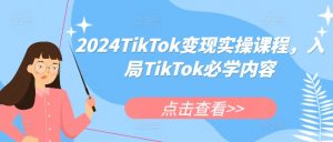 2024TikTok变现实操课程，入局TikTok必学内容-阳知网创资源库