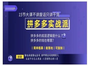 朋哥电商(拼多多实战派),15节大课不讲废话只讲干货,简单粗暴 能落地 可复制-阳知网创资源库