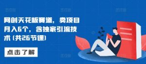 网创天花板赛道,卖项目月入6个,含独家引流技术(共26节课)-阳知网创资源库