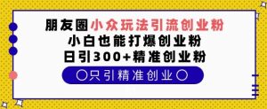 朋友圈小众玩法引流创业粉,小白也能打爆创业粉,日引300+精准创业粉【揭秘】-阳知网创资源库