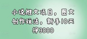 小说推文项目，图文创作玩法，新手10天挣3000-阳知网创资源库