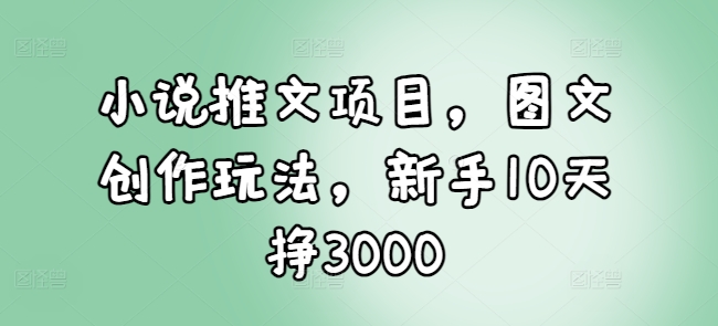 小说推文项目,图文创作玩法,新手10天挣3000-阳知网创资源库