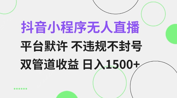 抖音小程序无人直播 平台默许 不违规不封号 双管道收益 日入多张 小白也能轻松操作【仅揭秘】-阳知网创资源库