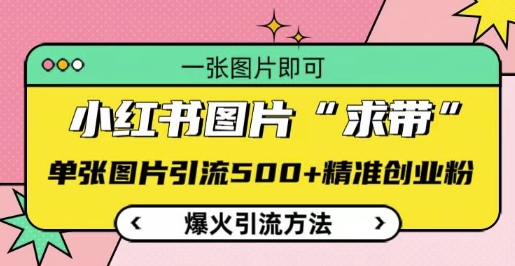 小红书图片‘求带’爆火引流法,单张图片引流500+精准创业粉【揭秘】-阳知网创资源库
