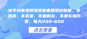快手抖音视频号放映直播项目教程,不违规,不卖货,不靠粉丝,不靠礼物打赏,每天200-600-阳知网创资源库