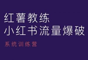 红薯教练-小红书内容运营课,小红书运营学习终点站-阳知网创资源库