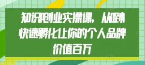 知识IP创业实操课,从0到1快速孵化让你的个人品牌价值百万-阳知网创资源库