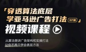 穿透算法底层,学亚马逊广告打法SP篇,从算法侧讲广告架构和实操打法,让你不再只学会表层方法-阳知网创资源库
