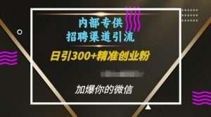 内部招聘渠道日引流300+创业粉,加爆你的微信【揭秘】-阳知网创资源库