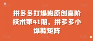拼多多打爆班原创高阶技术第41期,拼多多小爆款矩阵-阳知网创资源库