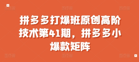 拼多多打爆班原创高阶技术第41期,拼多多小爆款矩阵-阳知网创资源库