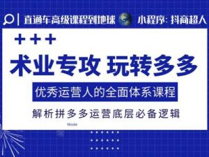 术业专攻玩转多多,优秀运营人的全面体系课程,解析拼多多运营底层必备逻辑-阳知网创资源库