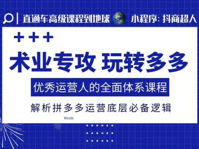 术业专攻玩转多多,优秀运营人的全面体系课程,解析拼多多运营底层必备逻辑-阳知网创资源库
