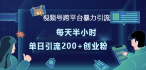 视频号跨平台暴力引流,每天半小时,单日引流200+精准创业粉-阳知网创资源库