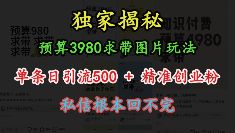 预算3980求带 图片玩法,单条日引流500+精准创业粉,私信根本回不完-阳知网创资源库