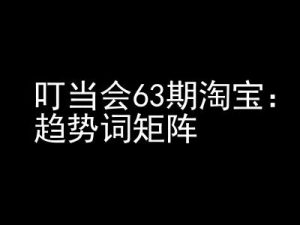 《淘宝天猫打爆班》原创高阶技术第63期,趋势词矩阵技术和玩法-阳知网创资源库