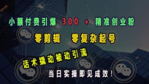 小额付费引爆 300 + 精准创业粉,零剪辑、零复杂起号,话术撬动被动引流,当日实操即见成效-阳知网创资源库