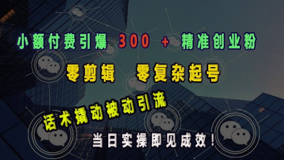小额付费引爆 300 + 精准创业粉,零剪辑、零复杂起号,话术撬动被动引流,当日实操即见成效-阳知网创资源库