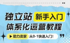 独立站新手入门体系化运营教程,助力独立站卖家从0-1快速入门!-阳知网创资源库