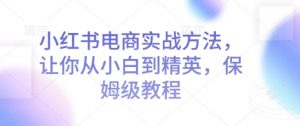 小红书电商实战方法,让你从小白到精英,保姆级教程-阳知网创资源库