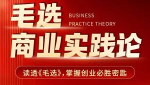 毛选商业实践论,读透《毛选》掌握创业必胜密匙-阳知网创资源库