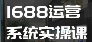 1688高阶运营系统实操课，快速掌握1688店铺运营的核心玩法-阳知网创资源库