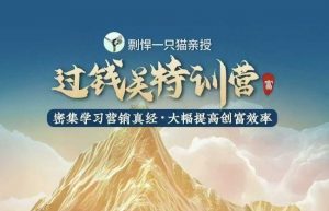 剽悍一只猫-过钱关特训营,学习营销真经 大幅度提高创富效率-阳知网创资源库