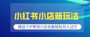 小红书小店新玩法,蹭这个IP带货,小白也能轻松月入过W【揭秘】-阳知网创资源库