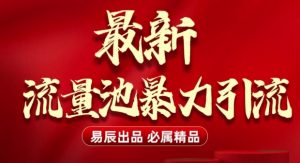 最新“流量池”无门槛暴力引流(全网首发)日引500+-阳知网创资源库