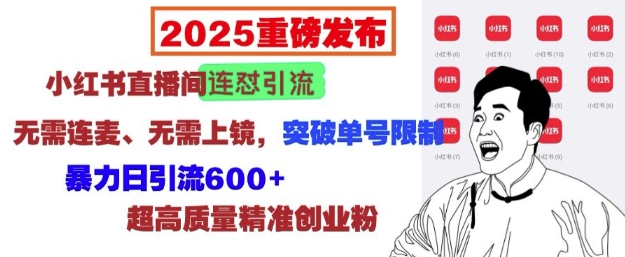 2025重磅发布:小红书直播间连怼引流,无需连麦、无需上镜,突破单号限制,暴力日引流600+-阳知网创资源库