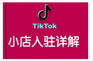 TikTok跨境小店运营全攻略,帮助你独立运营TK跨境小店的能力,实现销量增长-阳知网创资源库
