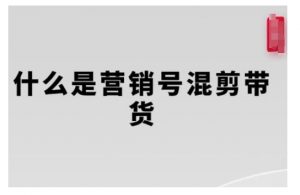 营销号混剪带货，从内容创作到流量变现的全流程，教你用营销号形式做混剪带货-阳知网创资源库