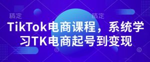 TikTok电商课程,系统学习TK电商起号到变现-阳知网创资源库
