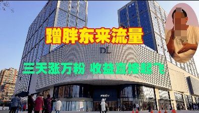 蹭胖东来流量,三天涨万粉,收益直接起飞-阳知网创资源库