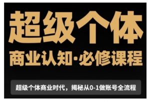 超级个体商业认知觉醒视频课,商业认知·必修课程揭秘从0-1账号全流程-阳知网创资源库