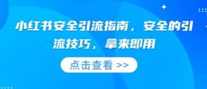 小红书安全引流指南,安全的引流技巧,拿来即用-阳知网创资源库