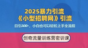 2025最新暴力引流方法,招聘平台一天引流300+,日变现多张,专业人士力荐-阳知网创资源库