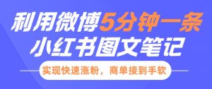 小红书利用微博5分钟一条图文笔记,实现快速涨粉,商单接到手软-阳知网创资源库