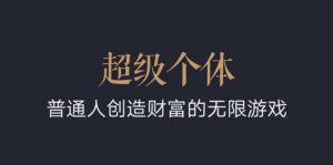 超级个体:2024-2025翻盘指南,普通人创造财富的无限游戏-阳知网创资源库